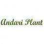 Andari Plant